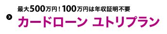 �ő�500���~�I100���~�͔N���ؖ��s�v �J�[�h���[�� ���g���v����