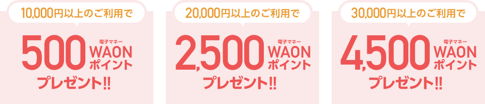 10,000円以上のご利用で500電子マネーWAONポイントプレゼント!! 20,000円以上のご利用で2,500電子マネーWAONポイントプレゼント!! 30,000円以上のご利用で4,500電子マネーWAONポイントプレゼント!!