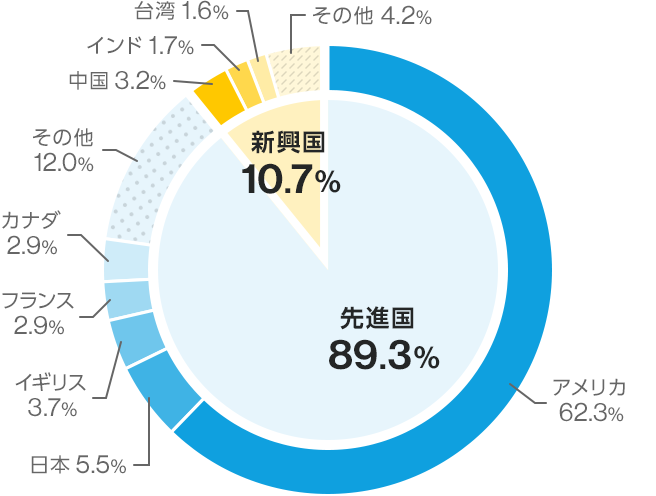 先進国:89.3%、新興国:10.7% /先進国 アメリカ:62.3%、日本:5.5%、イギリス:3.7%、フランス:2.9%、カナダ:2.9%、その他:12.0% / 新興国 中国:3.2%、インド:1.7%、台湾:1.6%