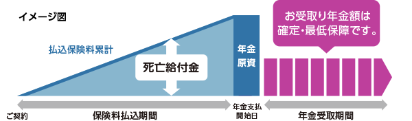 イメージ図：ご契約から年金支払開始日（保険料払込期間）、払込保険料累計、死亡給付金、年金原資。年金受取期間（お受取り年金額は確定・最低保障です。）