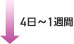 4日から1週間