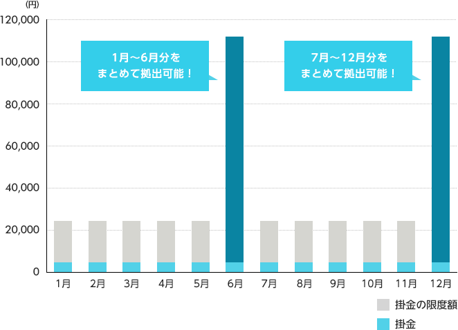 個人型確定拠出年金ideco イデコ はボーナス払いもできるって本当 タマルweb イオン銀行