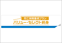 死亡保障重視プラン バリュー・セレクト終身