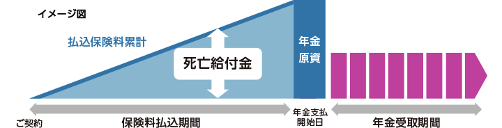 イメージ図：ご契約から年金支払開始日（保険料払込期間）、払込保険料累計、死亡給付金、年金原資。年金受取期間。