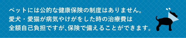 もし、大切な家族の一員である愛犬・愛猫が病気やケガをしたら？