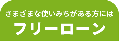 さまざまな使いみちがある方にはフリーローン