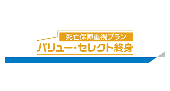 死亡保障重視プラン バリュー・セレクト終身