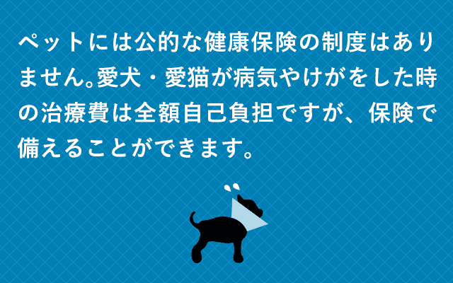 もし、大切な家族の一員である愛犬・愛猫が病気やケガをしたら？