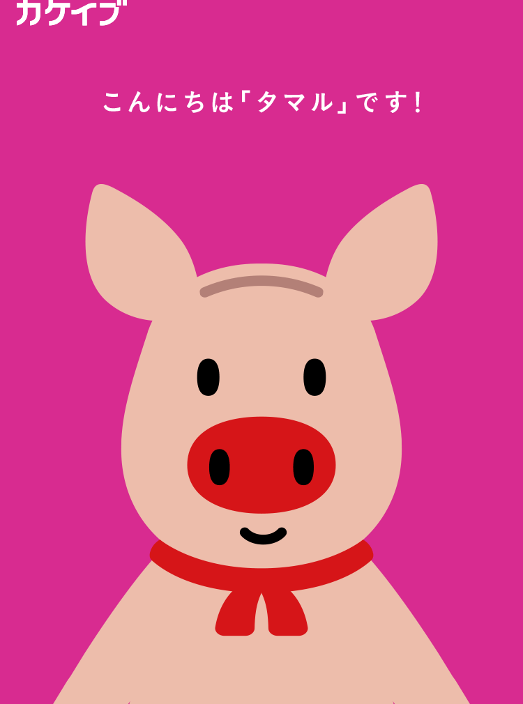 カケイブ こんにちは、タマルです!
