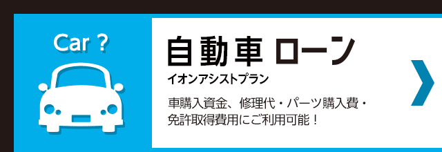 目的型ローン イオンアシストプラン カードローン 各種ローン イオン銀行