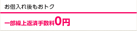 お借入れ後もおトク 一部繰上返済手数料0円